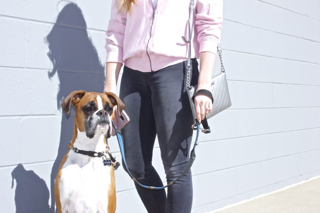 Dog Mom Style-2