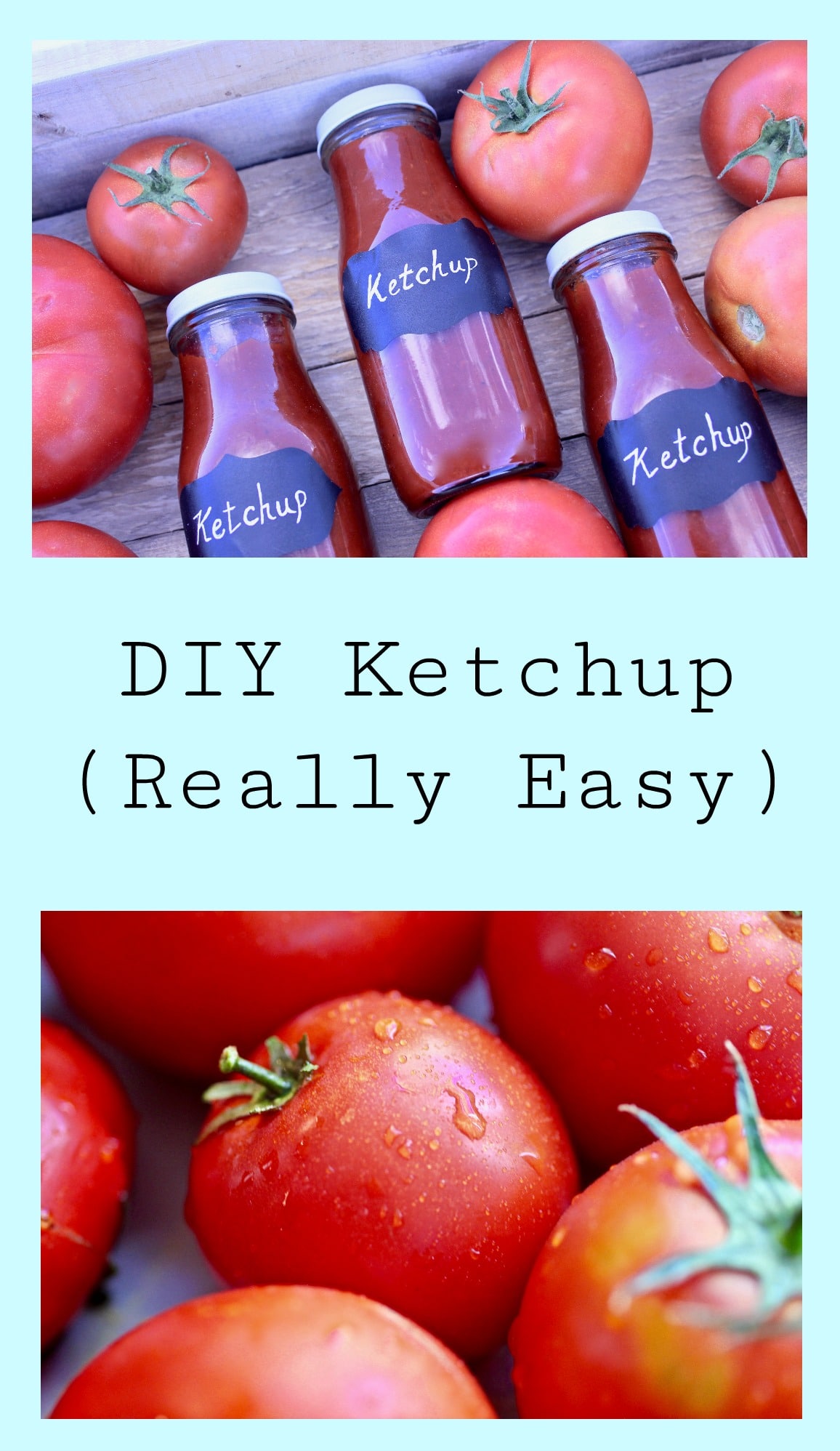 DIY Ketchup-9