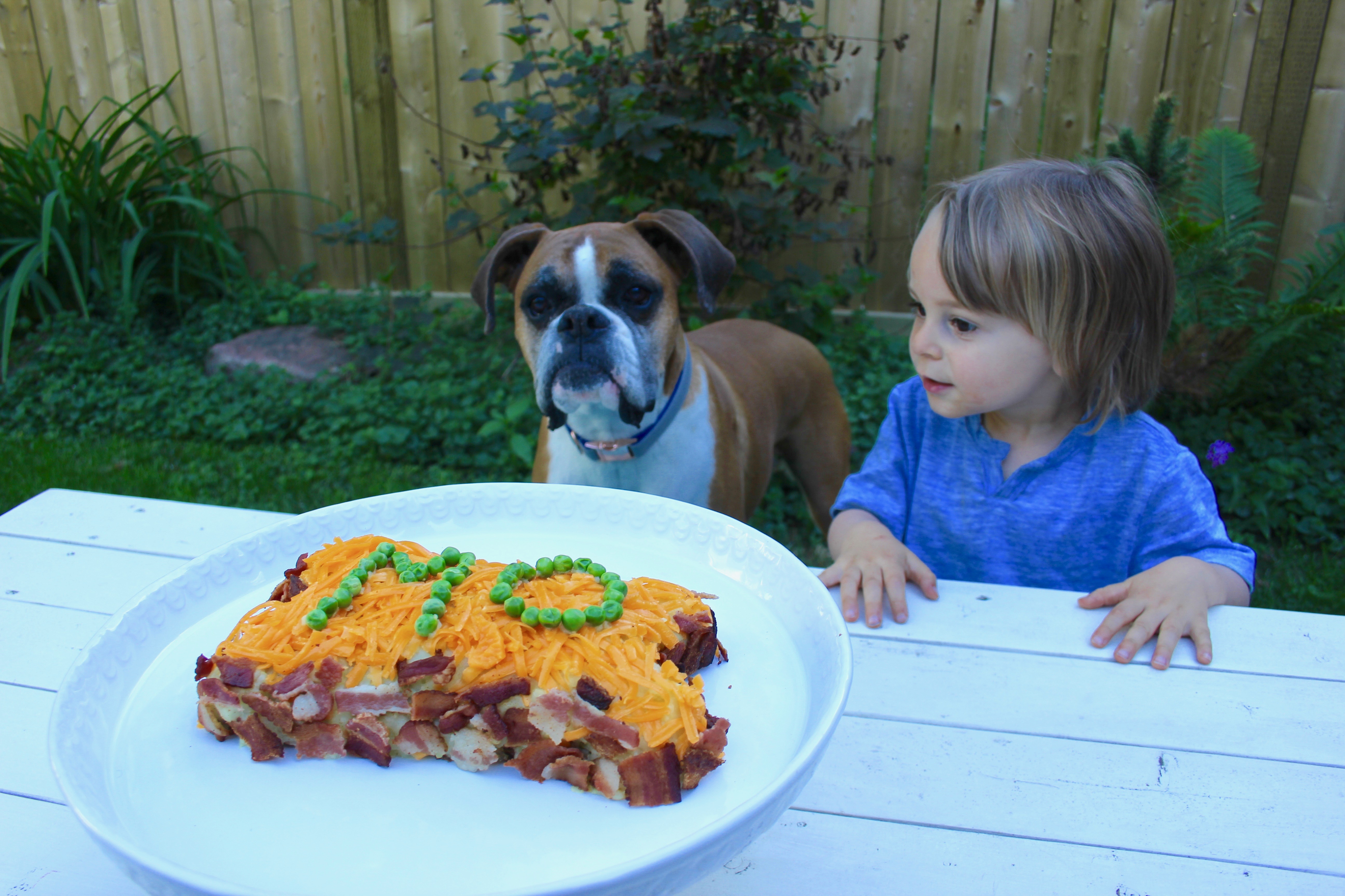 Dog birthday cake bison and bacon-4