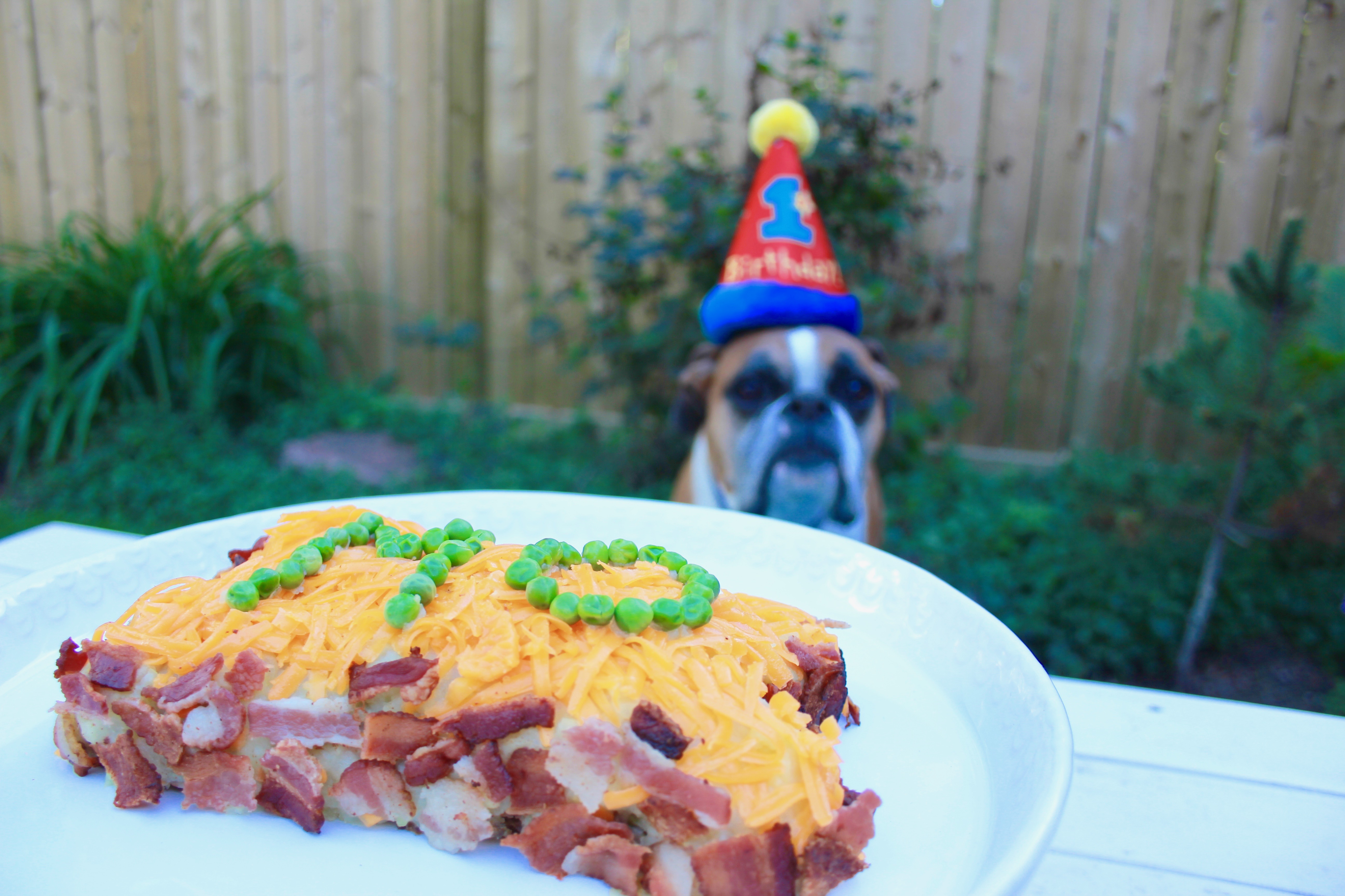 Dog birthday cake bison and bacon-3