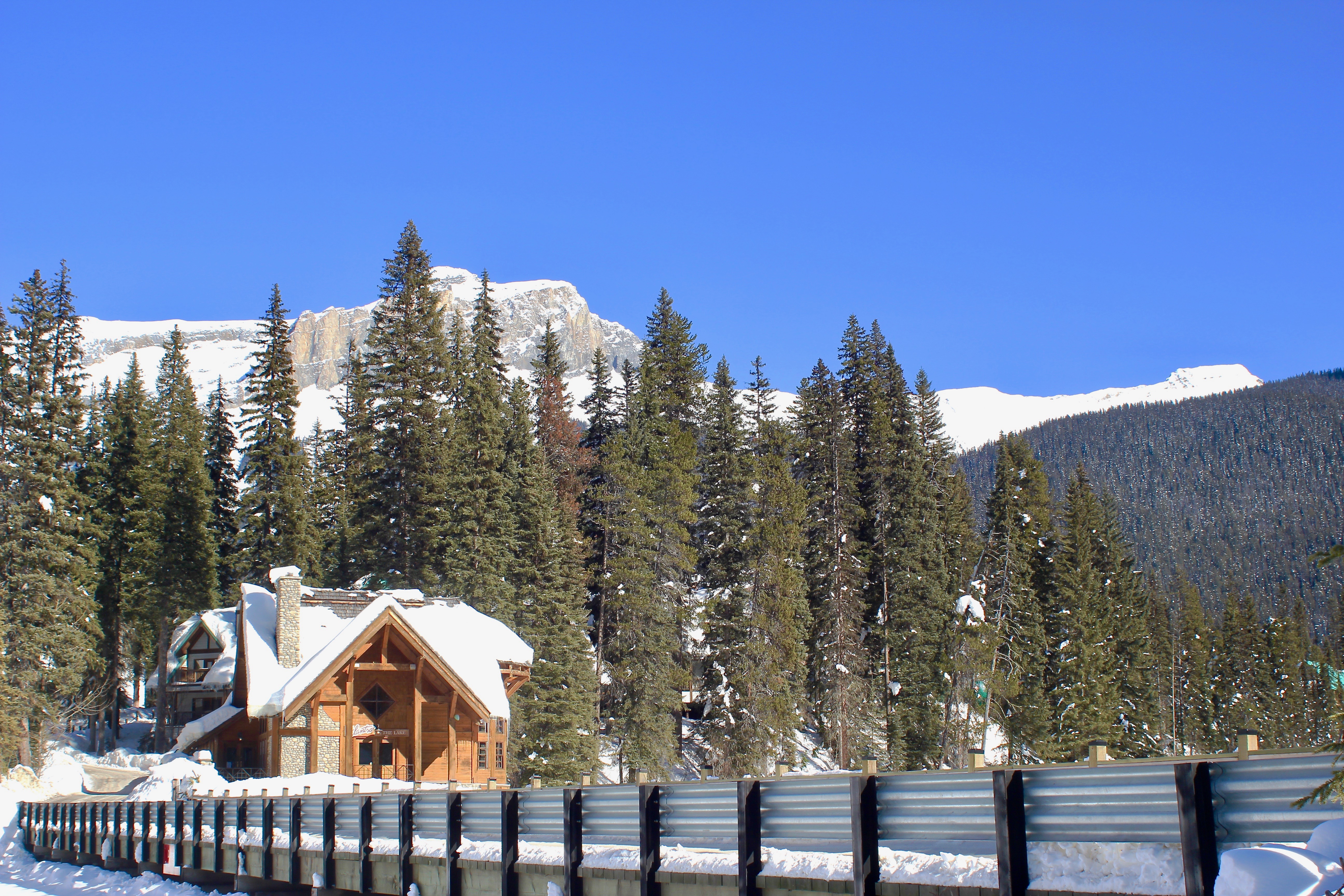 Emerald Lake Lodge Review-2