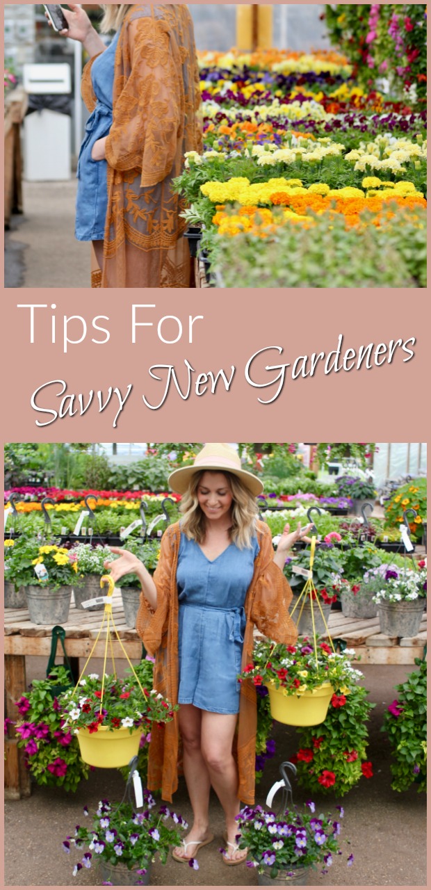 tips for savvy new gardeners-18