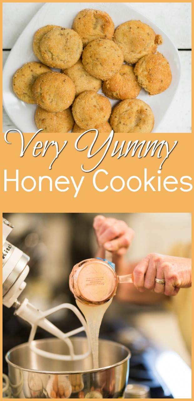 honey cookies-6